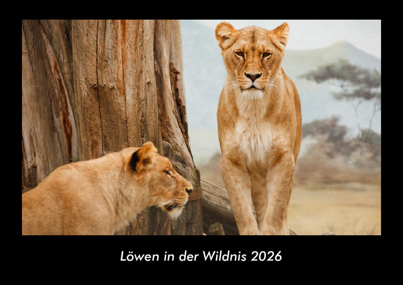 Löwen in der Wildnis Fotokalender 2026 - Hauptbild
