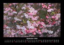 Blumenzauber Fotokalender 2026 - 9