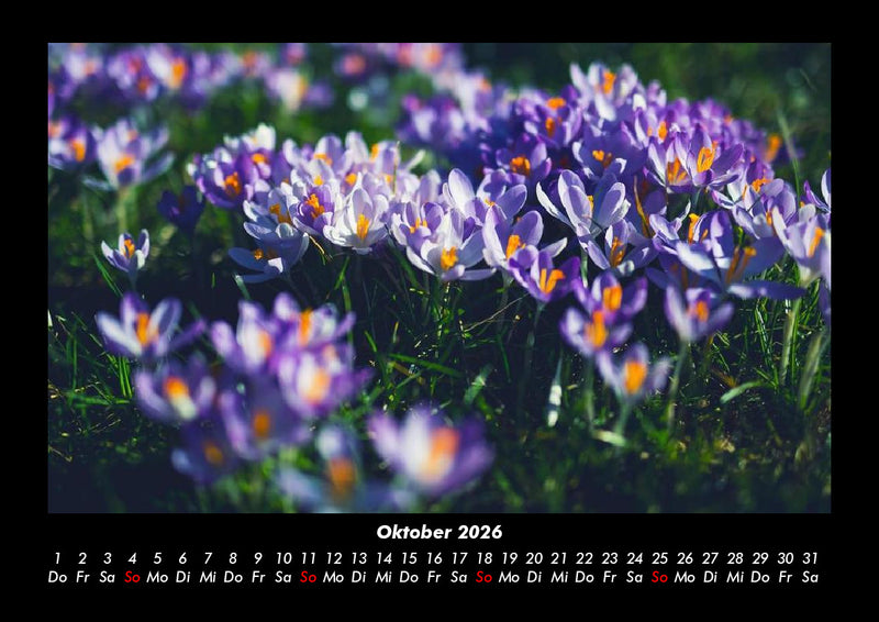 Blumenzauber Fotokalender 2026 - 10