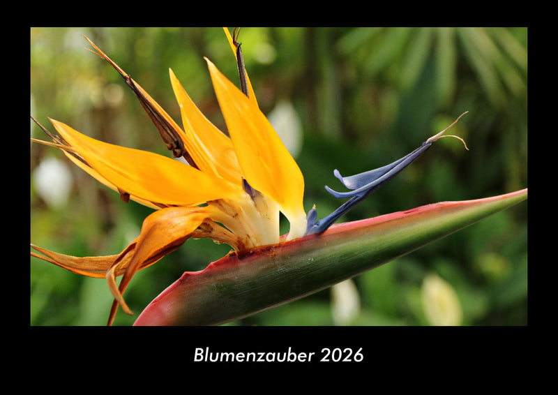 Blumenzauber Fotokalender 2026 - Hauptbild