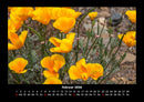Blumenzauber Fotokalender 2026 - 2