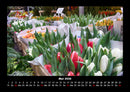 Blumenzauber Fotokalender 2026 - 5