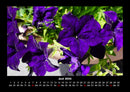 Blumenzauber Fotokalender 2026 - 6