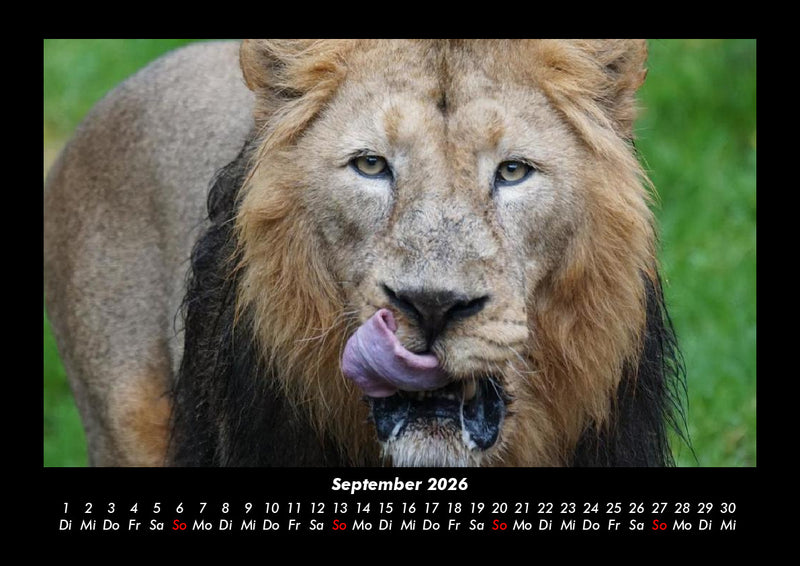 Welt der Tiere Fotokalender 2026 - 9
