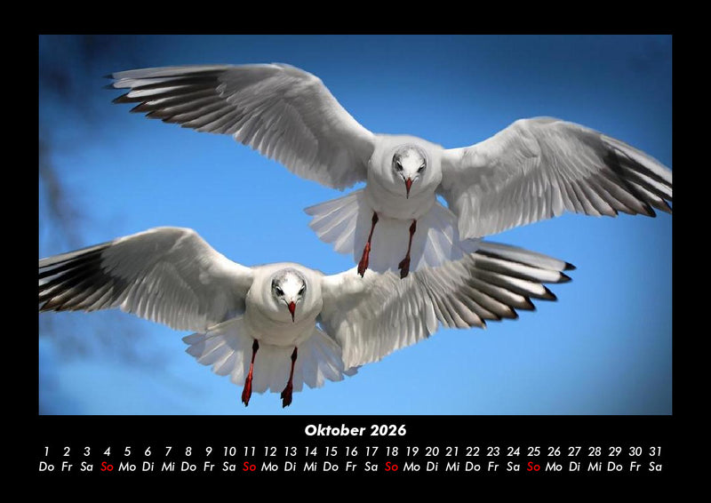 Welt der Tiere Fotokalender 2026 - 10