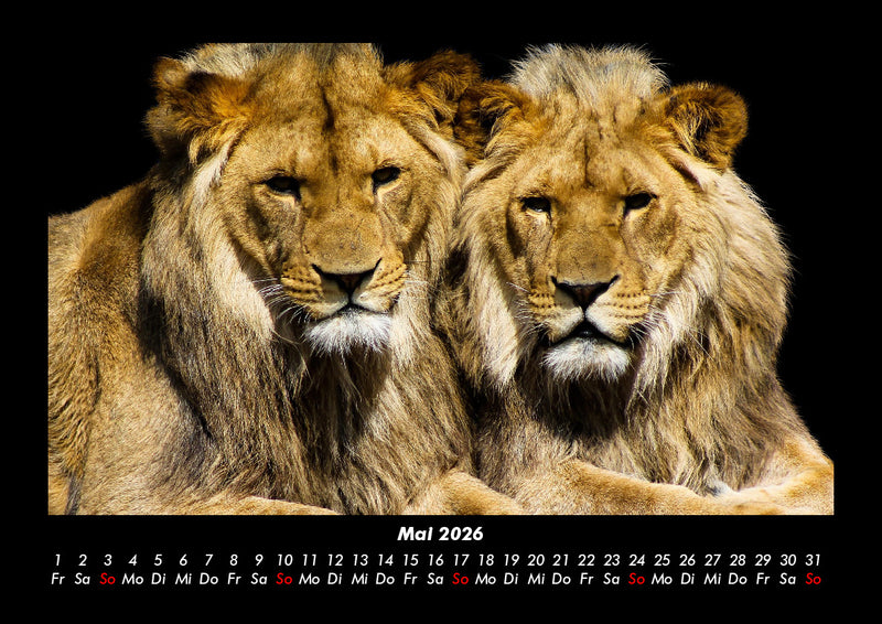 Welt der Tiere Fotokalender 2026 - 5