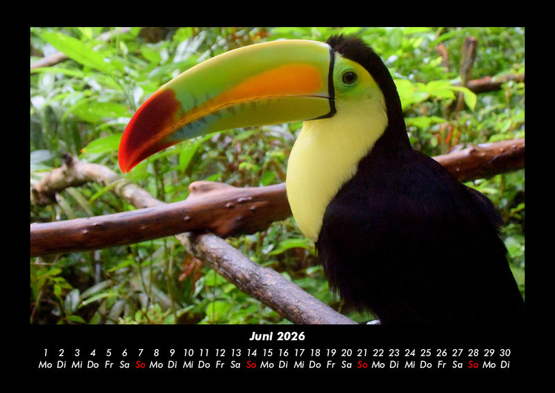 Welt der Tiere Fotokalender 2026 - 6