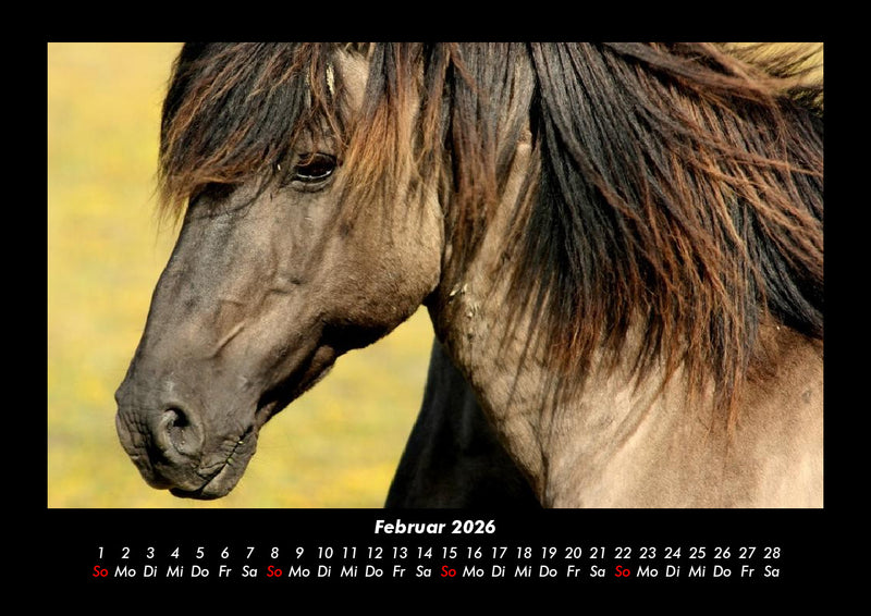 Welt der Tiere Fotokalender 2026 - 2