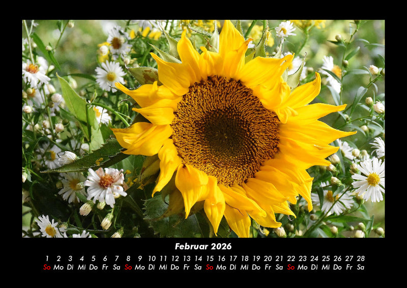 Blumenträume Fotokalender 2026 - 2