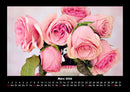 Blumenträume Fotokalender 2026 - 3