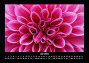 Blumenträume Fotokalender 2026 - 7