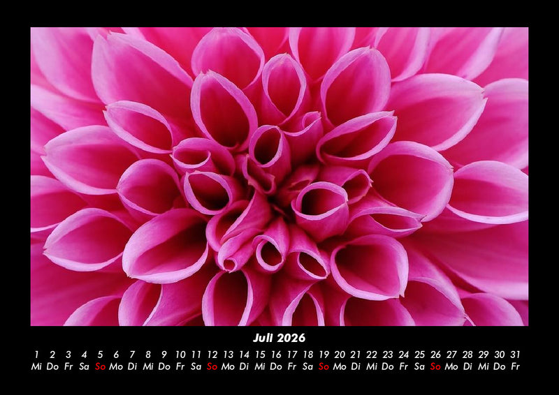 Blumenträume Fotokalender 2026 - 7