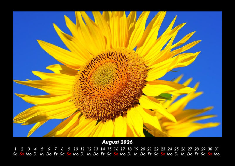 Blumenträume Fotokalender 2026 - 8