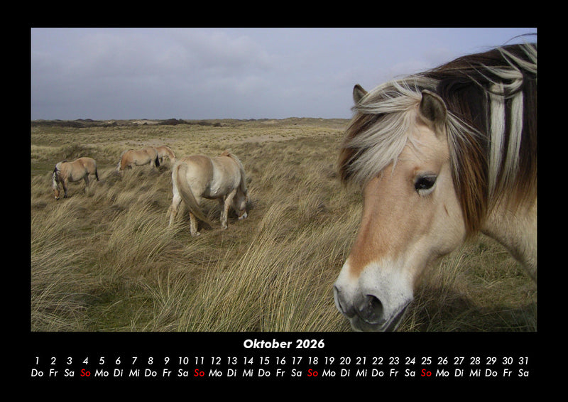 Pferdegeflüster Fotokalender 2026 - 10