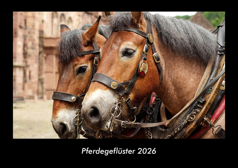 Pferdegeflüster Fotokalender 2026 - Hauptbild