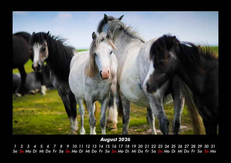 Pferdegeflüster Fotokalender 2026 - 8