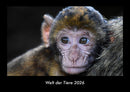 Welt der Tiere Fotokalender 2026 - Hauptbild