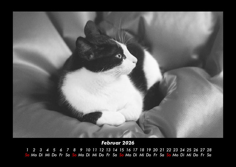 Welt der Tiere Fotokalender 2026 - 2