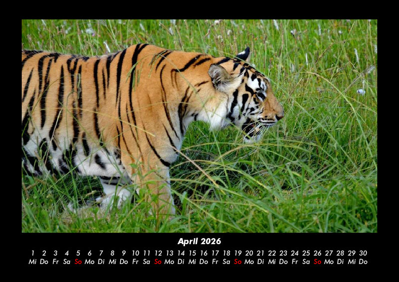 Welt der Tiere Fotokalender 2026 - 4