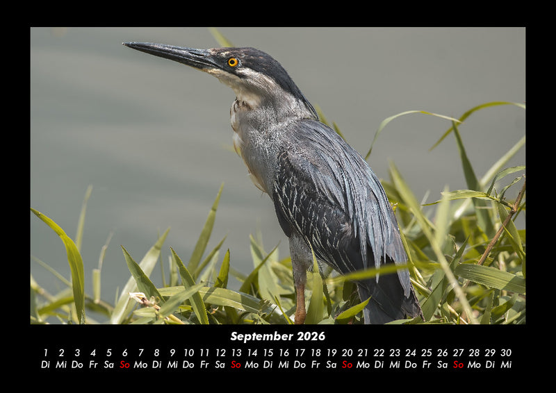 Natur Fotokalender 2026 - 9