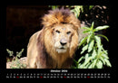 Tierkalender Fotokalender 2026 - 10