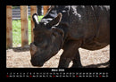 Tierkalender Fotokalender 2026 - 3