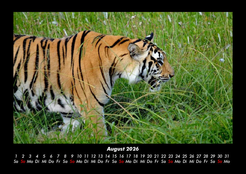 Tierkalender Fotokalender 2026 - 8