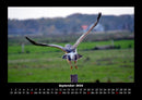 Vogelparadies Fotokalender 2026 - 9