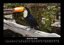 Vogelparadies Fotokalender 2026 - 11