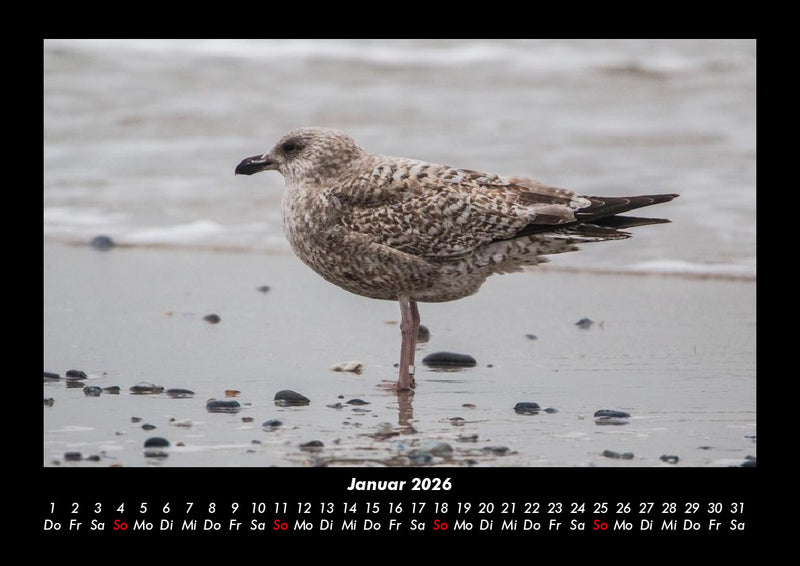 Vogelparadies Fotokalender 2026 - 1