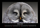 Vogelparadies Fotokalender 2026 - 2