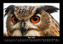 Vogelparadies Fotokalender 2026 - 3