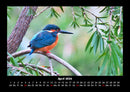 Vogelparadies Fotokalender 2026 - 4