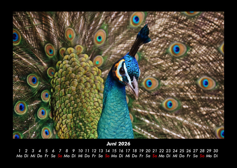 Vogelparadies Fotokalender 2026 - 6
