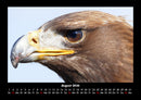 Vogelparadies Fotokalender 2026 - 8