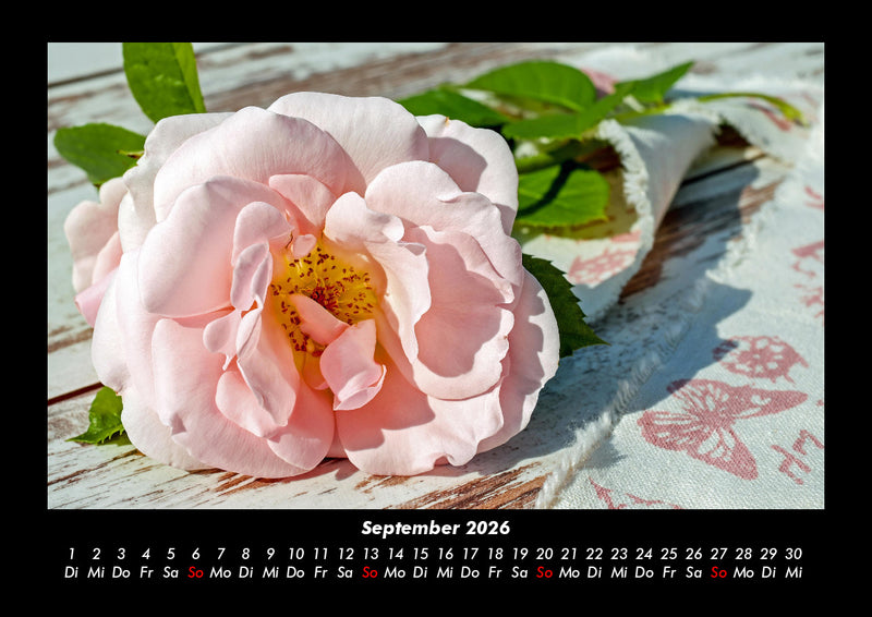 Blumentraum Fotokalender 2026 - 9