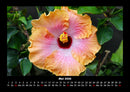 Blumentraum Fotokalender 2026 - 5