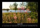 Blumentraum Fotokalender 2026 - 8