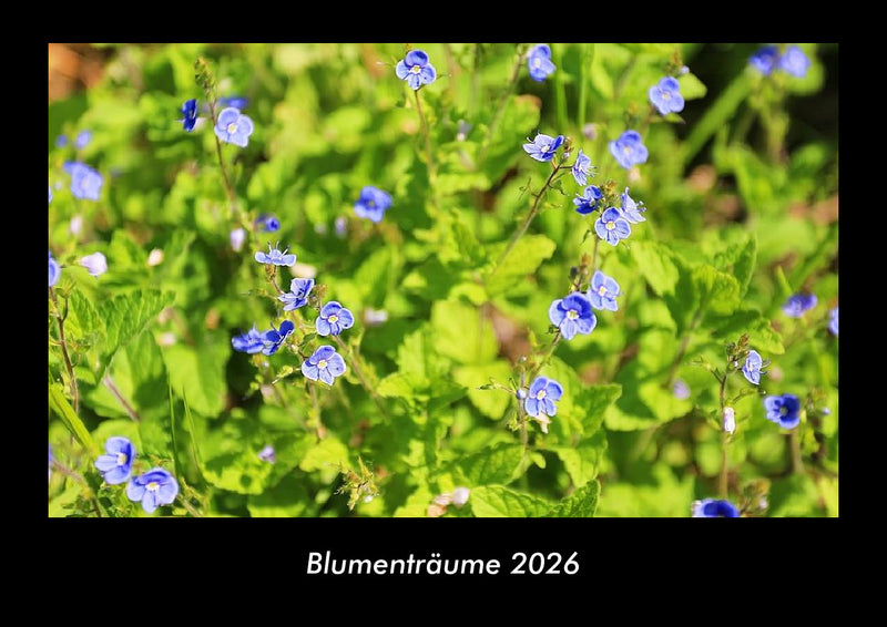 Blumenträume Fotokalender 2026 - Hauptbild