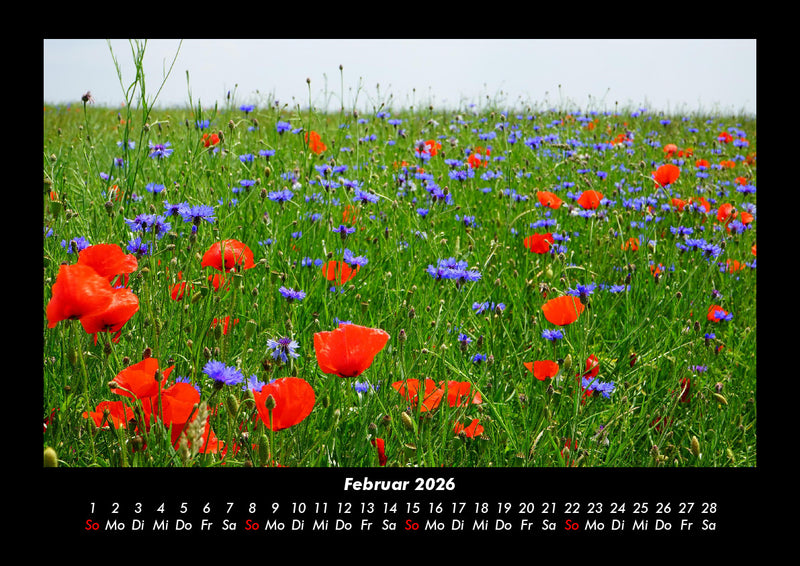 Blumenträume Fotokalender 2026 - 2