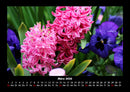 Blumenträume Fotokalender 2026 - 3