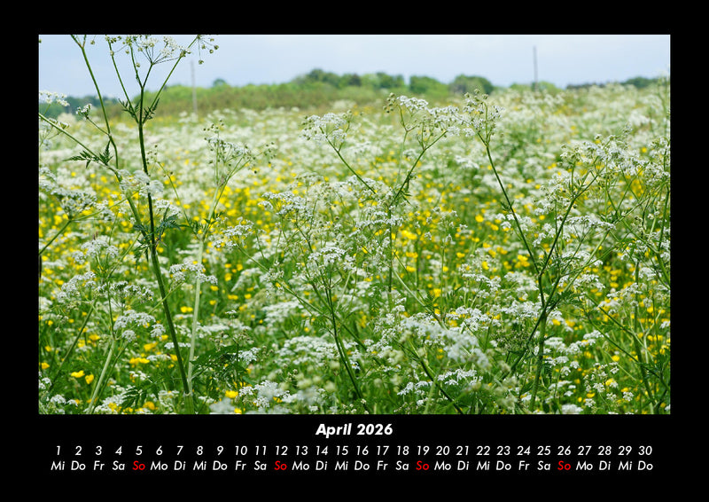 Blumenträume Fotokalender 2026 - 4