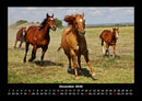 Pferdetraum Fotokalender 2026 - 12