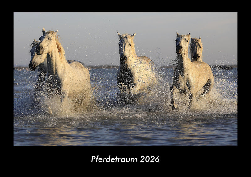 Pferdetraum Fotokalender 2026 - Hauptbild