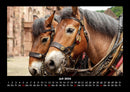Pferdetraum Fotokalender 2026 - 7