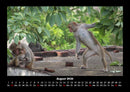 Welt der Affen Fotokalender 2026 - 8