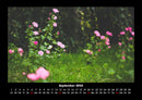 Blumenträume Fotokalender 2026 - 9