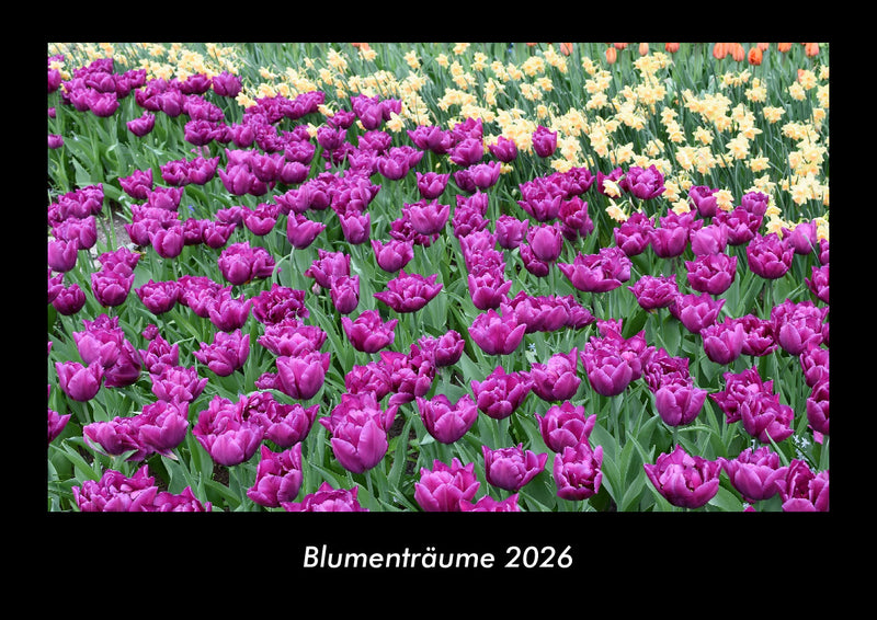 Blumenträume Fotokalender 2026 - Hauptbild