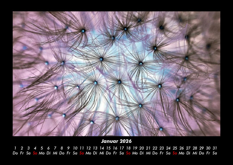 Blumenträume Fotokalender 2026 - 1