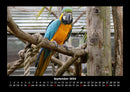 Vogelparadies Fotokalender 2026 - 9